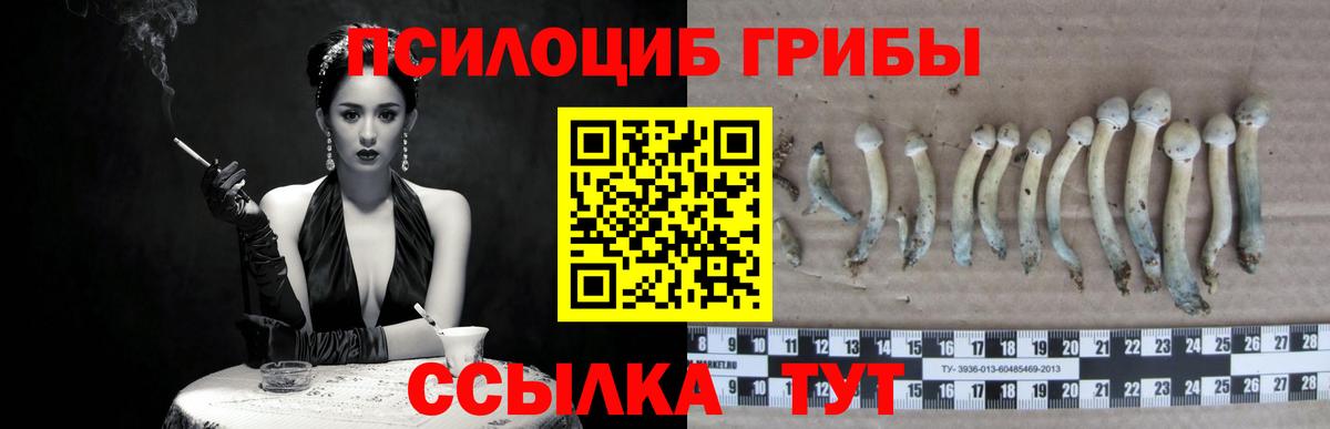 Похвистнево  Галлюциногенные грибы Psilocybine cubensis  Вход с VPN 